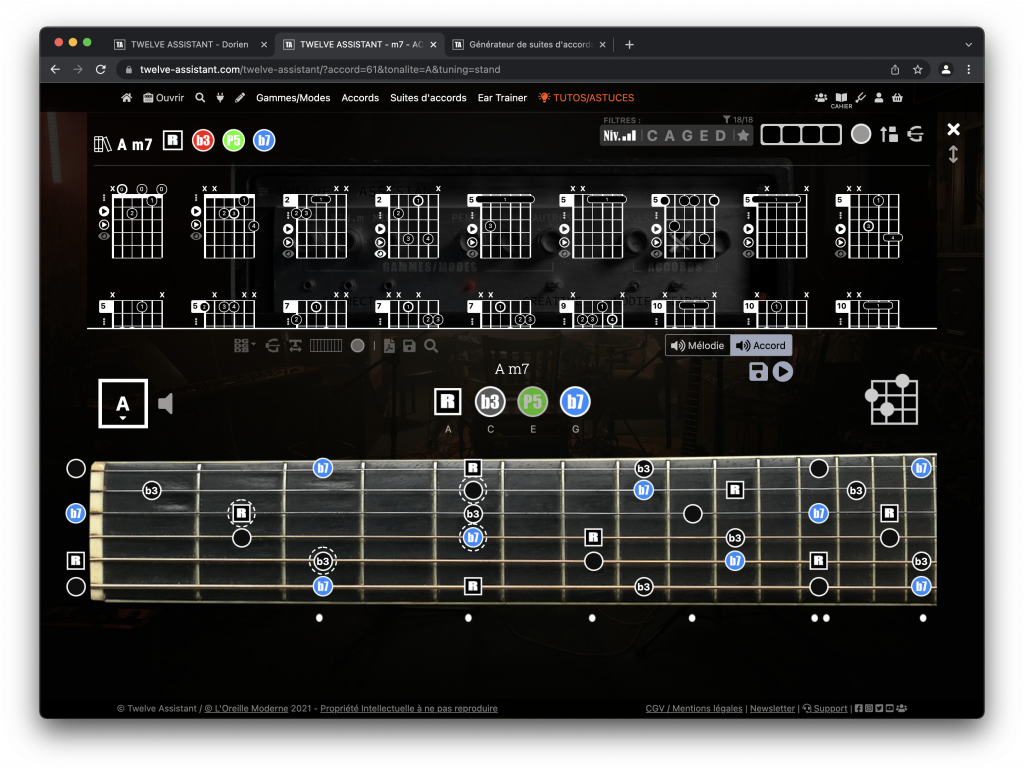 Twelve Assistant - Guitare - L'assistant du guitariste débutant à